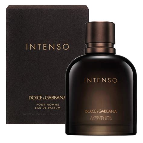 1994 dolce gabbana classic pour homme|dolce and gabbana intenso notes.